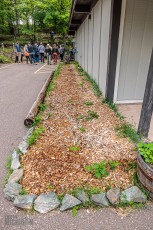 Barrel-Beam-Marquette-2023-55