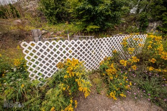 Barrel-Beam-Marquette-2023-58