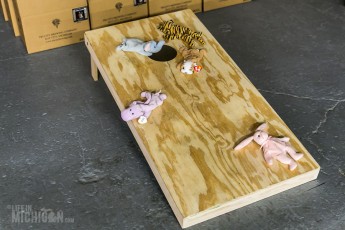 Bay City - Acoustic Music Fest - 2016-2