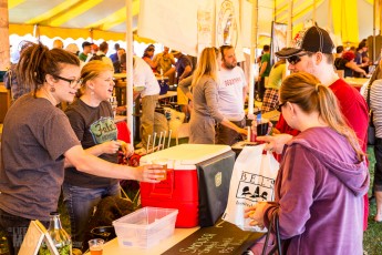 Beercity - Springfest - 2015-46