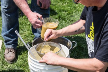 Beercity - Springfest - 2015-57