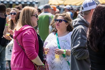 Beercity - Springfest - 2015-62