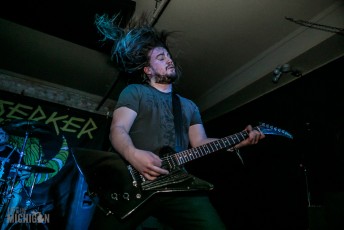 Immortal Bird @ Berserker IV