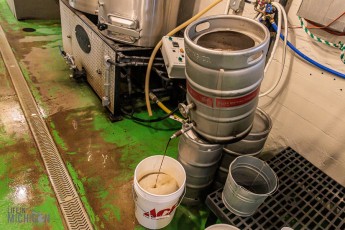 Brewing-With-Stiggs-2023-2