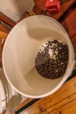 Brewing-With-Stiggs-2023-3