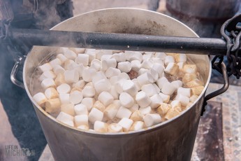 Brewing-With-Stiggs-2023-36