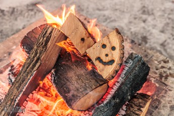 Brew-Day-With-Stiggs-2024-43