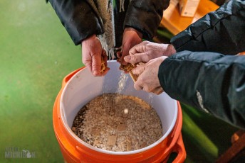 Brewing-with-Stiggs-2022-16