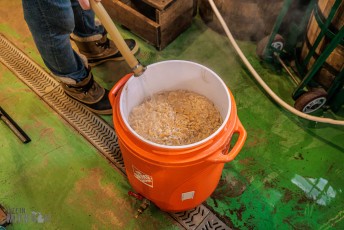 Brewing-with-Stiggs-2022-19