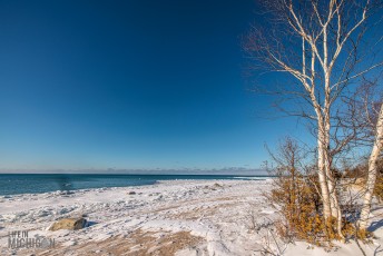 Brewing-with-Stiggs-2022-71