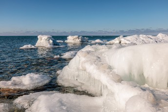 Brewing-with-Stiggs-2022-73