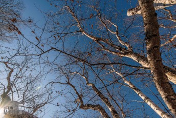 Brewing-with-Stiggs-2022-77