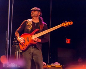 Cactus-MagicBag-Ferndale_MI-20150412-22