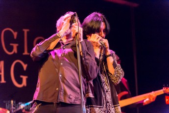 Cactus-MagicBag-Ferndale_MI-20150412-31