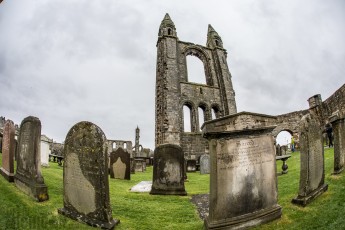 Cairngorms 2018-13