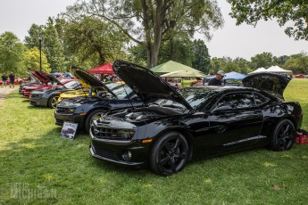 Camaro Fest 2015 - Ypsilanti -12