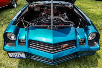 Camaro Fest 2015 - Ypsilanti -13