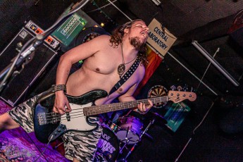 Cardinals Folly - Regal Beagle - 2024