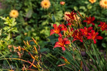 CarpRiverGarden-Negaunee-2023-12