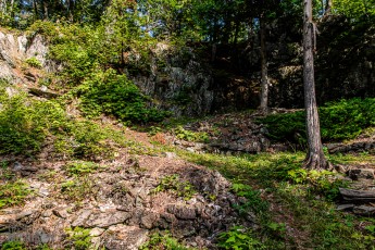 CarpRiverGarden-Negaunee-2023-15