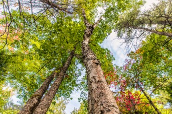 CarpRiverGarden-Negaunee-2023-19