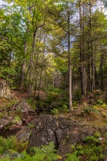 CarpRiverGarden-Negaunee-2023-23