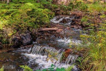 CarpRiverGarden-Negaunee-2023-24