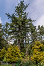 CarpRiverGarden-Negaunee-2023-6