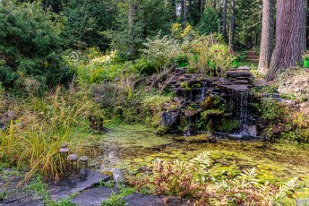 CarpRiverGarden-Negaunee-2023-8