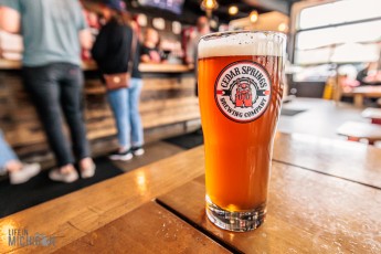 Cedar Springs Brewing - Kusterer Brauhaus 2023