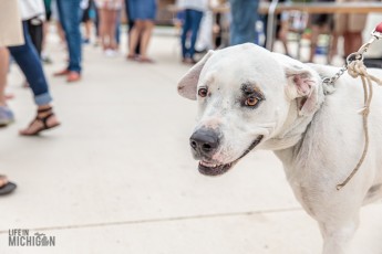 Chelsea-Backyard-Beer-Garden-2019-48