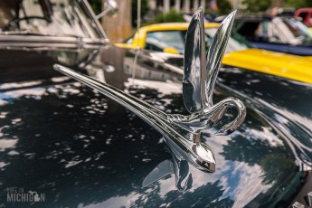 Chelsea-Sounds-and-Sights-2022-85