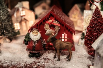 Christmas - Waterloo Farml Museum-3