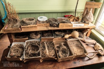 Christmas - Waterloo Farml Museum-58