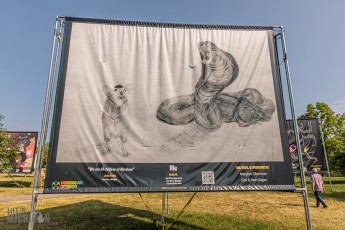 Cultureverse-DEI-2023-110