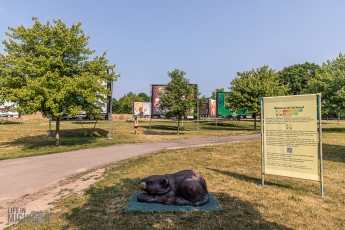 Cultureverse-DEI-2023-111