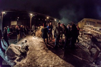 Dark Horse Brewing - 4 ELF - 2017-148