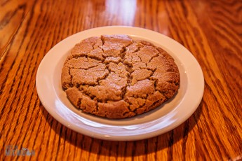 Day-With-Jay-Ann-Arbor-2024-48