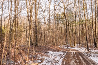 Detach-Hobbit-House-2024-10