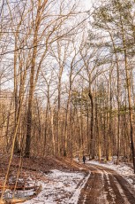 Detach-Hobbit-House-2024-11