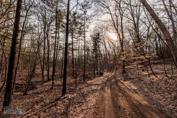 Detach-Hobbit-House-2024-14