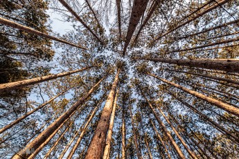 Detach-Hobbit-House-2024-17