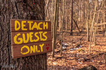 Detach-Hobbit-House-2024-18