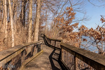 Detach-Hobbit-House-2024-22