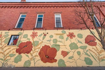 Detach-Hobbit-House-2024-33