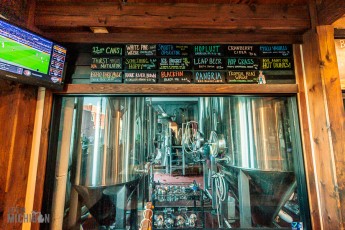 Detach-Hobbit-House-2024-38