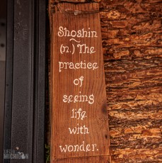 Detach-Hobbit-House-2024-5