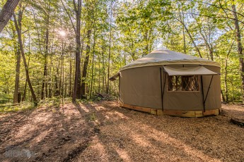 Detach-Primitive-Rockford-2022-35