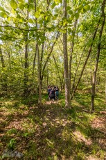 Detach-Primitive-Rockford-2022-7