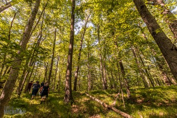 Detach-Primitive-Rockford-2022-8